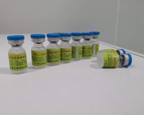 重組人內皮抑素腺病毒注射液（E10A）